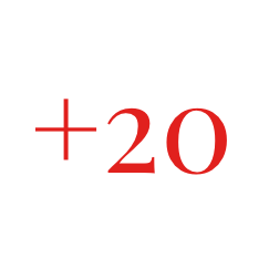 icona 20 anni di attività
